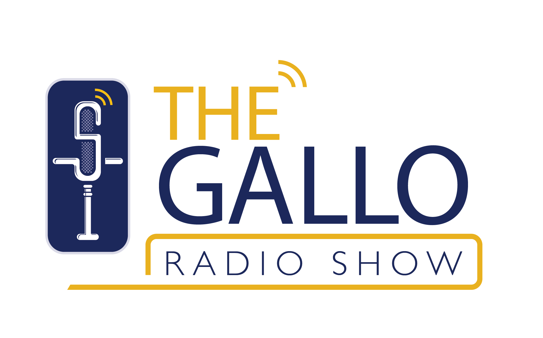 MJI's Aaron Rice talks about the lawsuit with the Gallo Show
